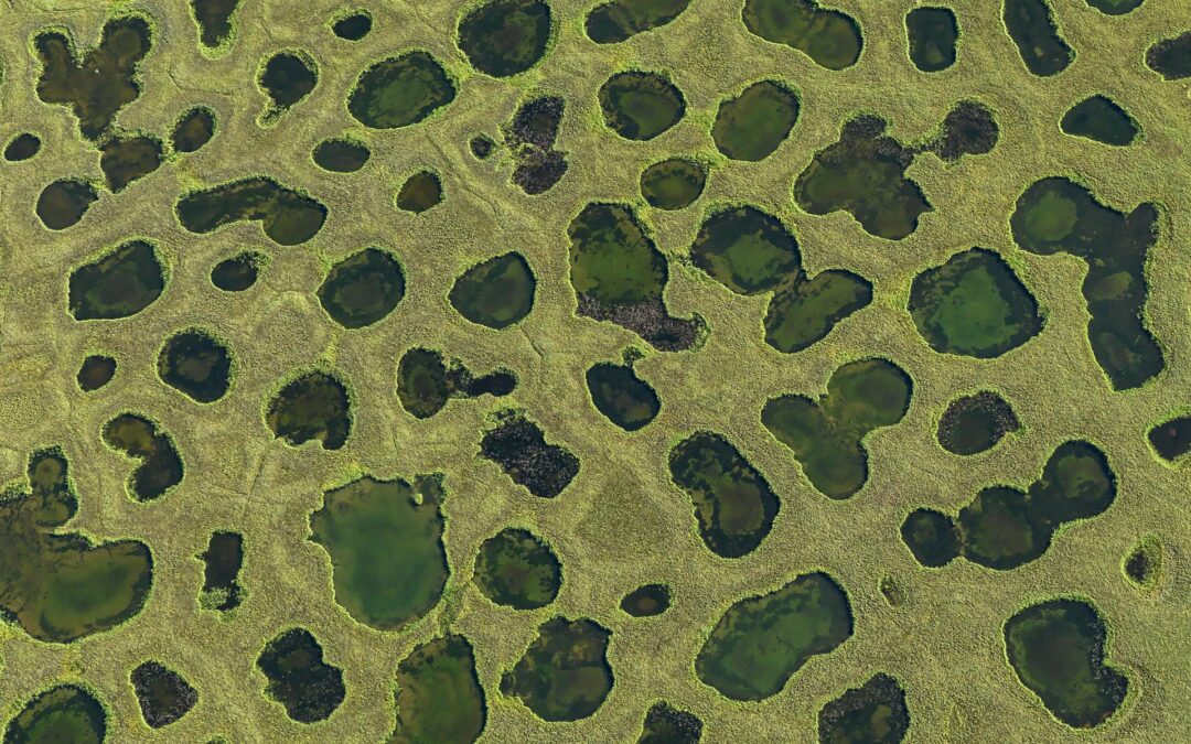 Lena Delta 03, Sibiria