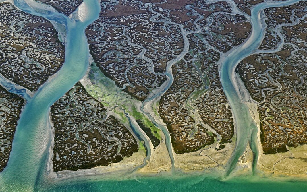 Ria Formosa, Portugal