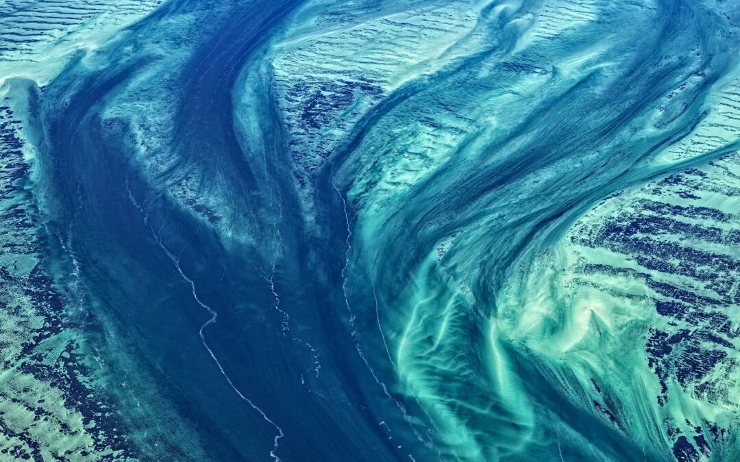 Shark Bay, Australia