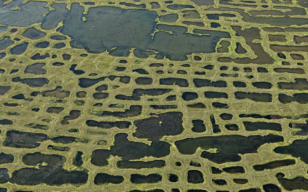 Patterned Ground, Sibiria