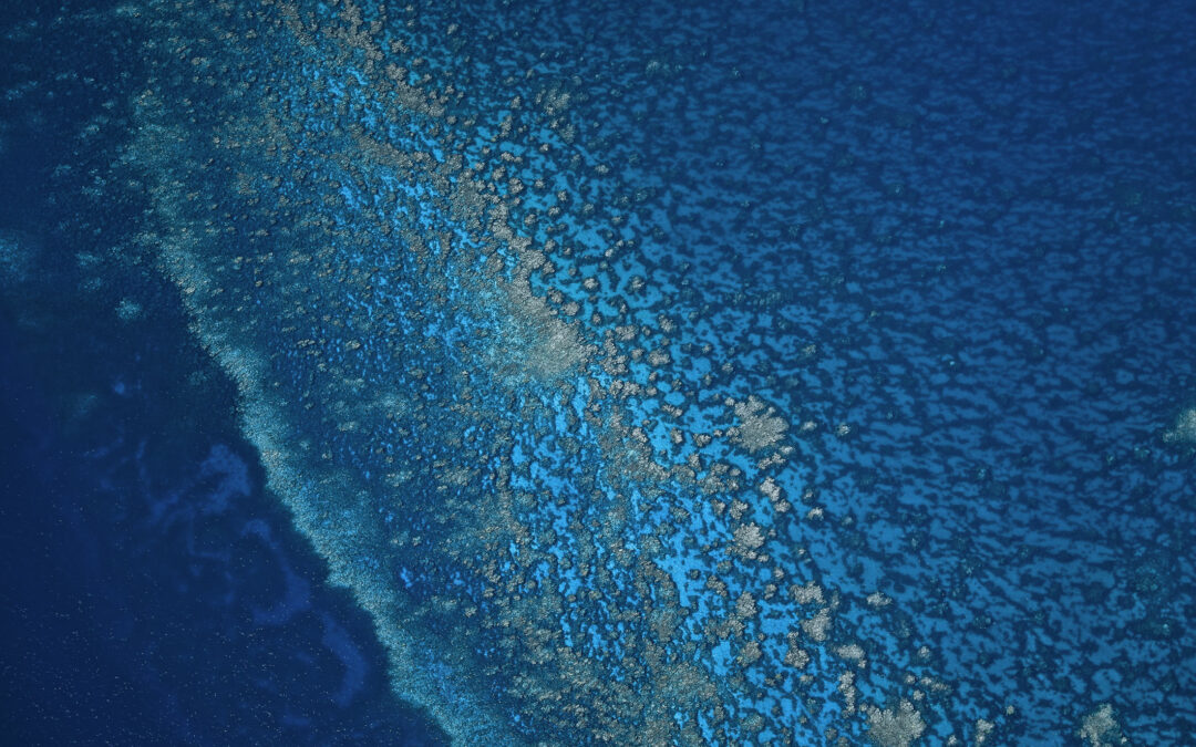 The Blues